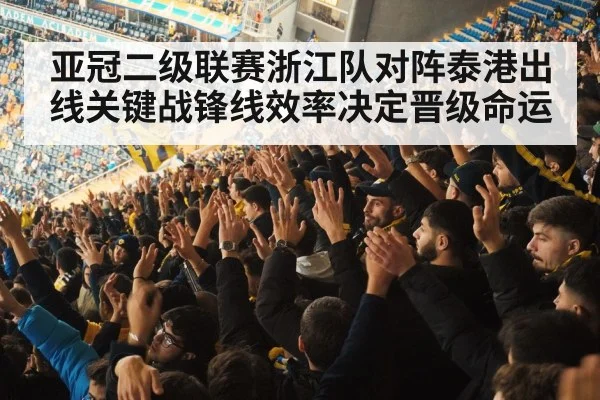 football stadium fans cheering
